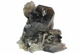 Unique, Tall Dark Smoky Quartz Crystal Cluster - Brazil #124548-1